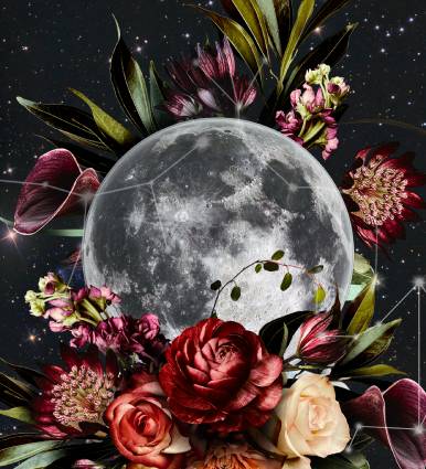 Imagen de Luna llena en un fondo floral. Servicio de Astrología, Cami Monge
