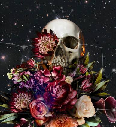 Imagen de calavera con fondo floral. Servicio de Death Doula Cami Monge